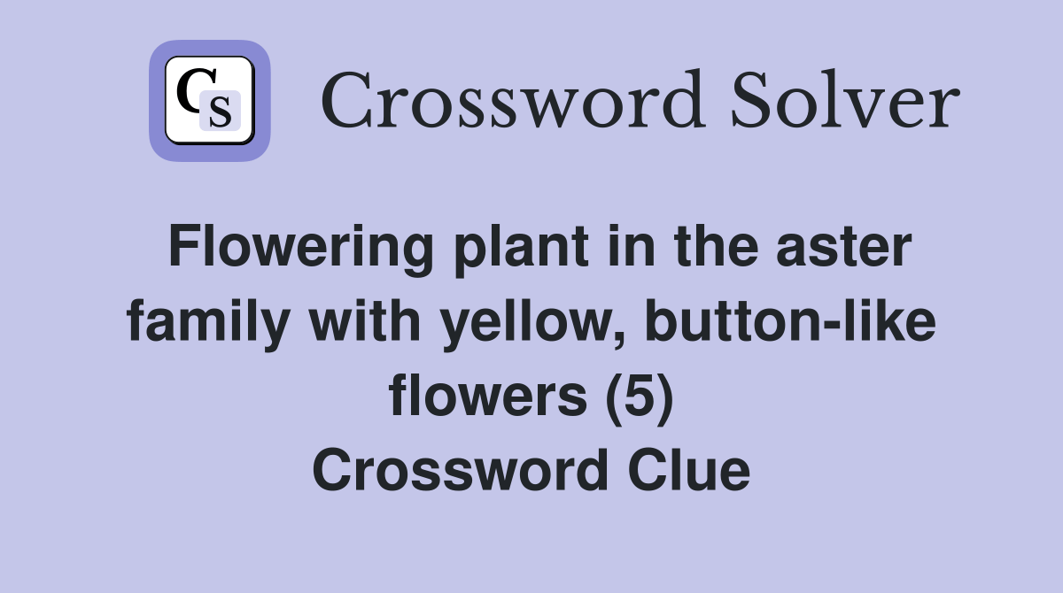 Flowering plant in the aster family with yellow, buttonlike flowers (5